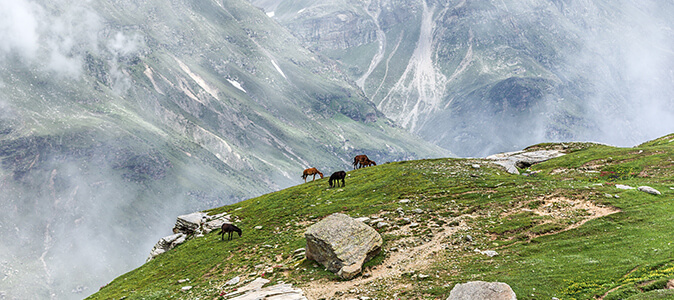 Manali Valey, India