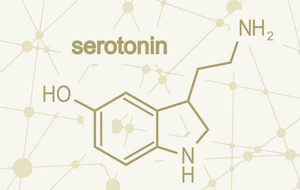 Serotonin