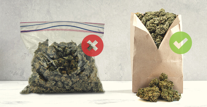 Paper bags can remove moisture from your weed, thereby minimising the risk for mould. 