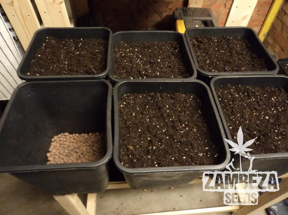 Create soil for your cannabis plants