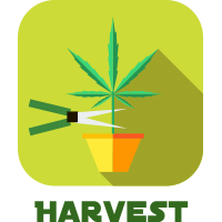 Harvest