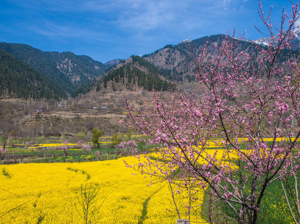 India Landscape Hindu Kush