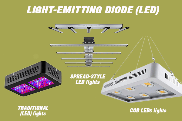 LED Lights