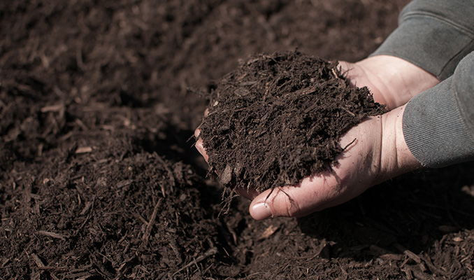 What Is Mulch And Why Is It Essential For Better Yields?