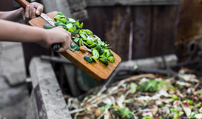 Cannabis and Homemade Compost: How to Make, Store, and Use It